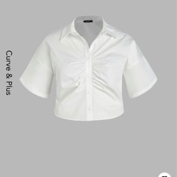 Polo Crop Top - Picture 1 of 8